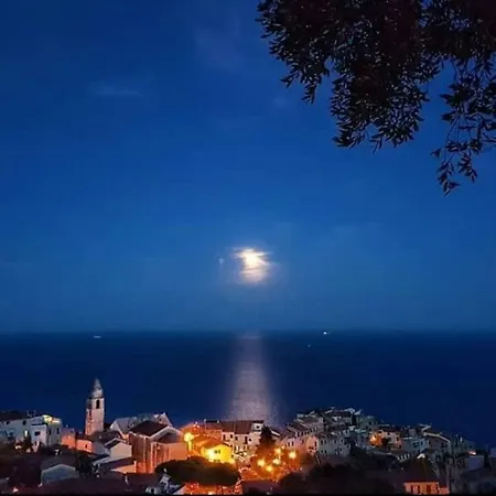 Casabasera Cipressa